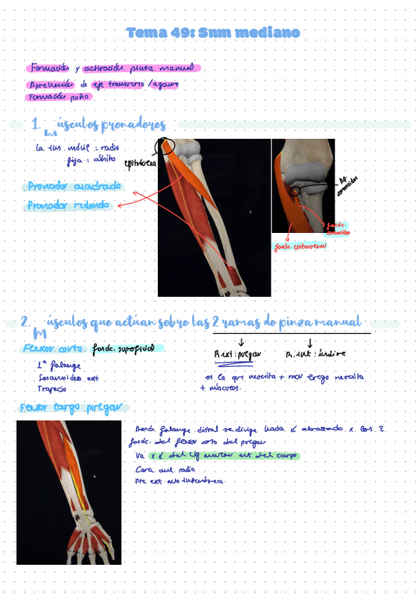 Miniatura del documento Leccion-49-Snm-mediano.pdf