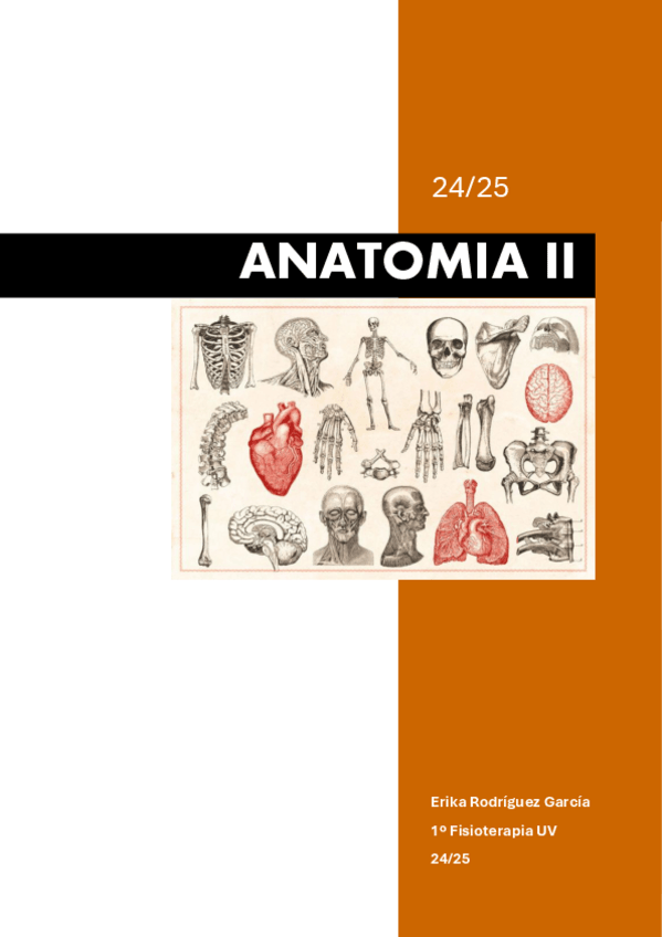 Miniatura del documento Apuntes-Completos-Anatomia-II.pdf