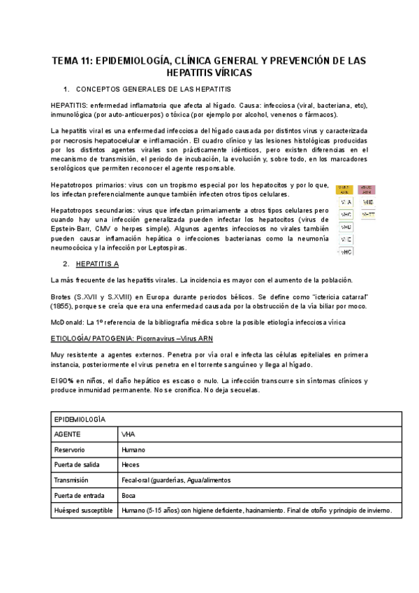 Miniatura del documento Copia-de-TEMA-11-EPIDEMIOLOGIA-CLINICA-GENERAL-Y-PREVENCION-DE-LAS-HEPATITIS-VIRICAS.pdf