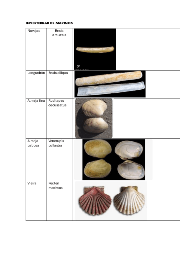 Miniatura del documento VISU.pdf