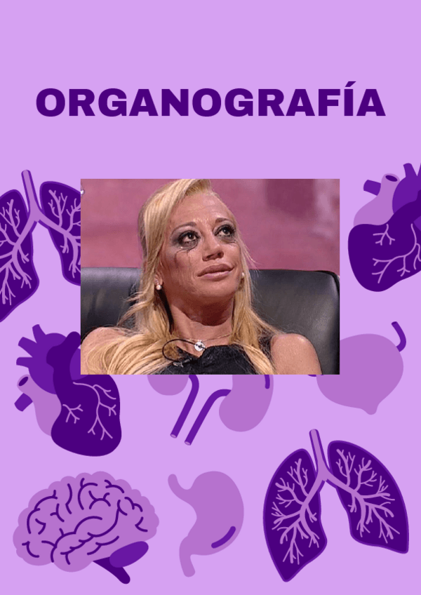 Miniatura del documento TEMA-1organografia.pdf