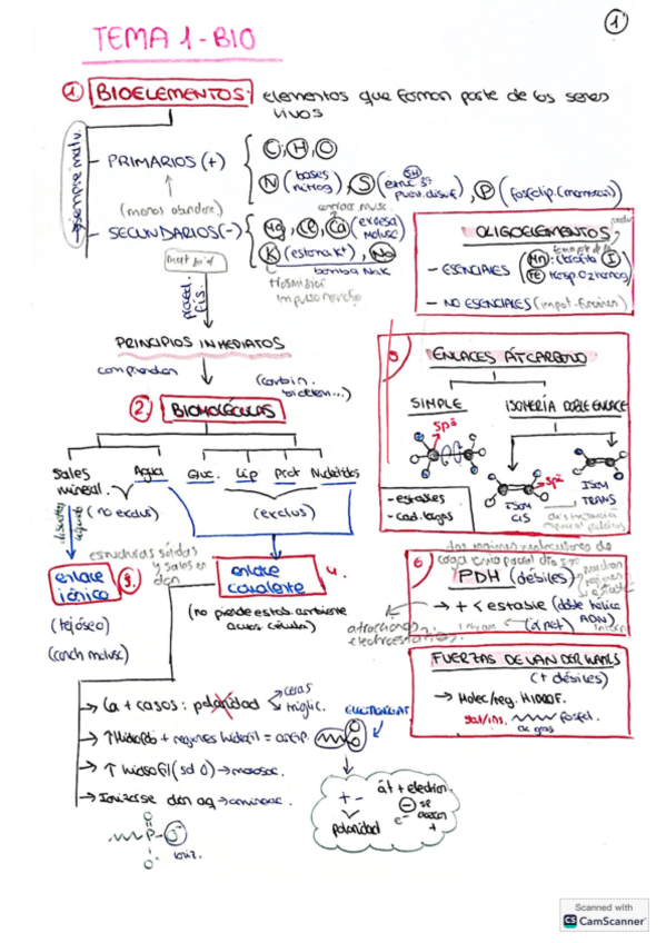 Miniatura del documento 1.-Bioquimica.pdf