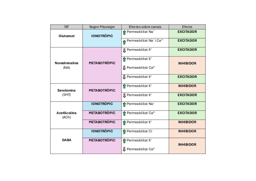 Miniatura del documento TaulaNeurotransmissors.pdf
