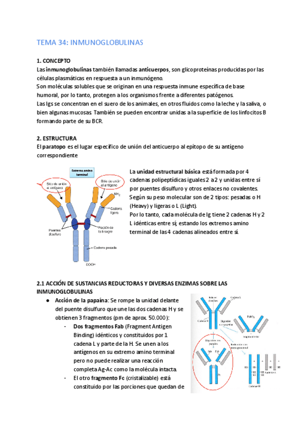 Miniatura del documento Micro-tema-34.pdf