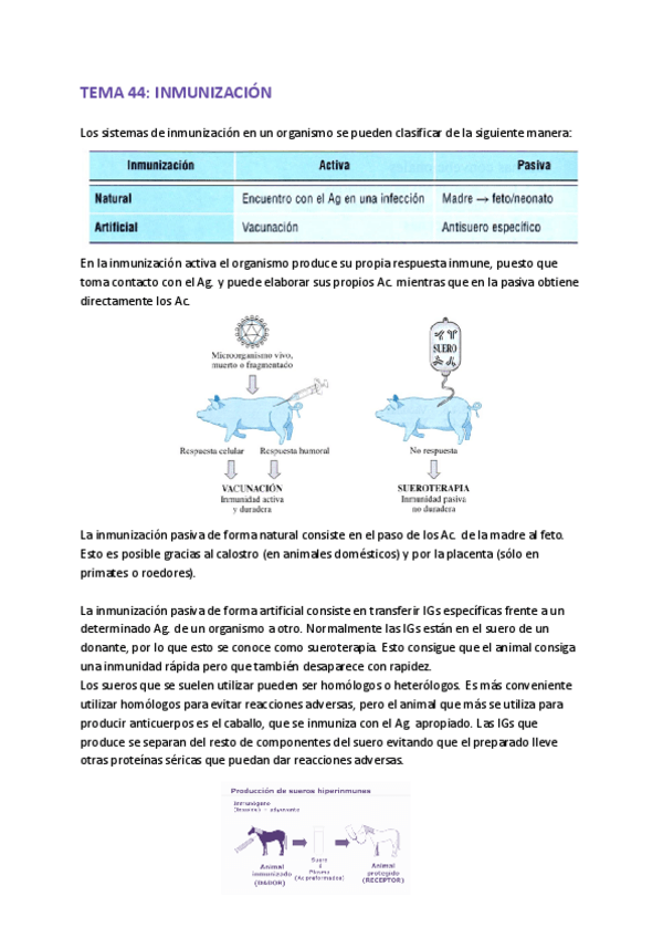 Miniatura del documento MICRO-TEMA-44.pdf