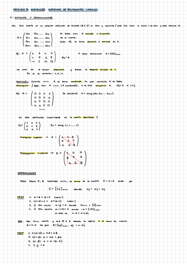 Miniatura del documento Lección 3. Matrices y sistemas de ecuaciones lineales.pdf