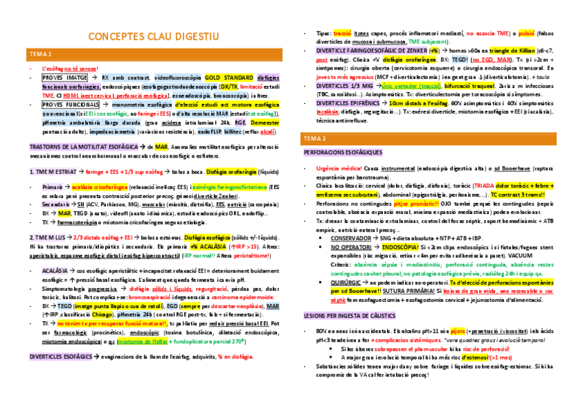 Miniatura del documento CONCEPTES-CLAU-DIGESTIU.pdf