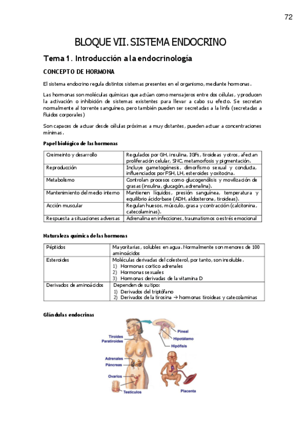 Miniatura del documento FISIOLOGIA-endocrino.pdf