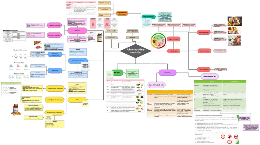 Miniatura del documento T5-Alimentacion-y-nutricion.pdf