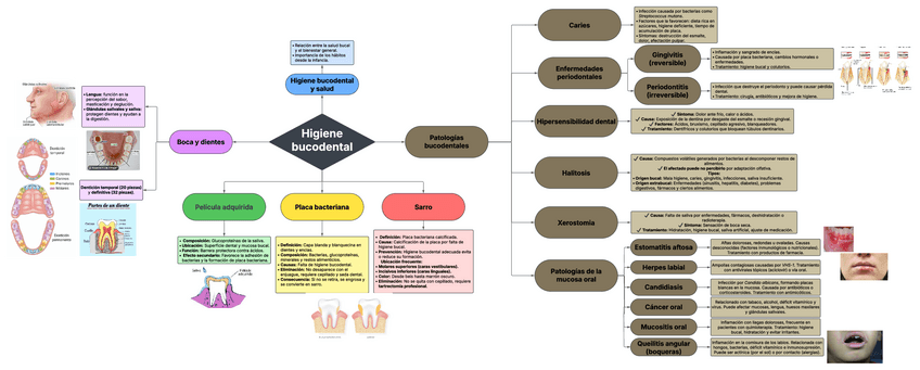 Miniatura del documento T7-Higiene-bucodental.pdf