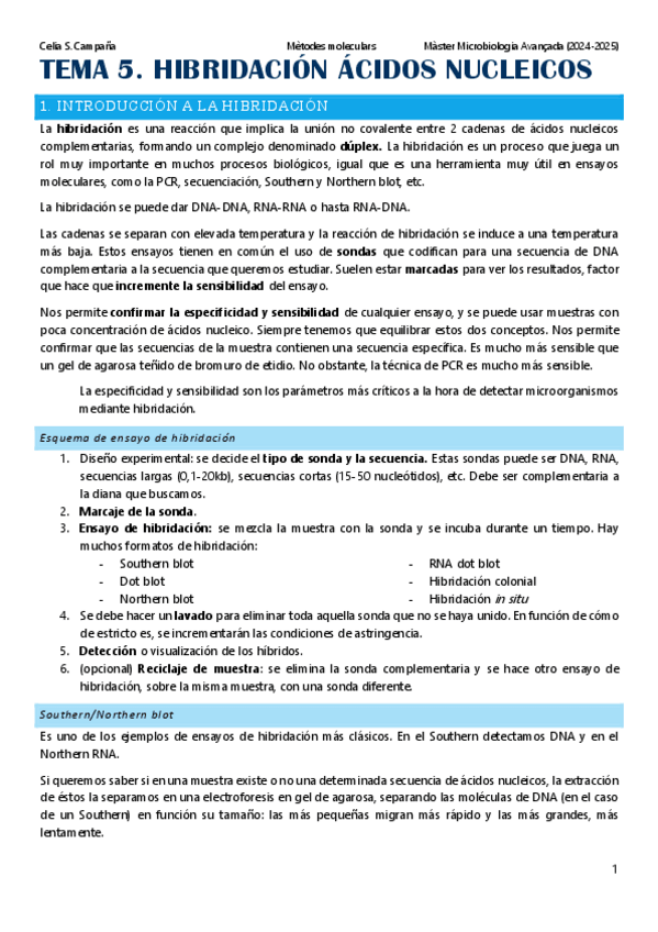 Miniatura del documento MM-Tema-5-Hibridacion.pdf