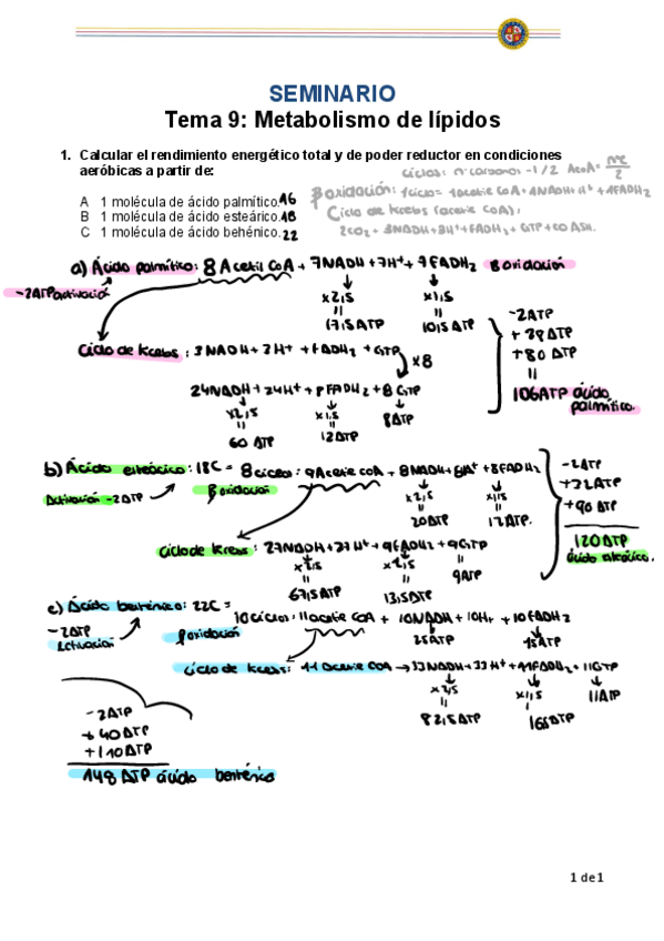 Miniatura del documento Seminario-tema-9-Metabolismo-de-lipidos-BIOQUIMICA-GOD.pdf