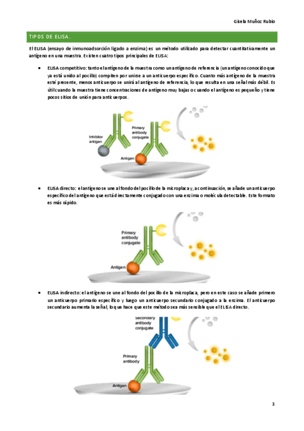 Miniatura del documento TIPOS-DE-ELISA.pdf