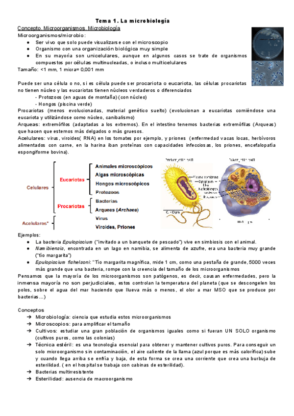 Miniatura del documento Tema-1.-Microbiologia.pdf