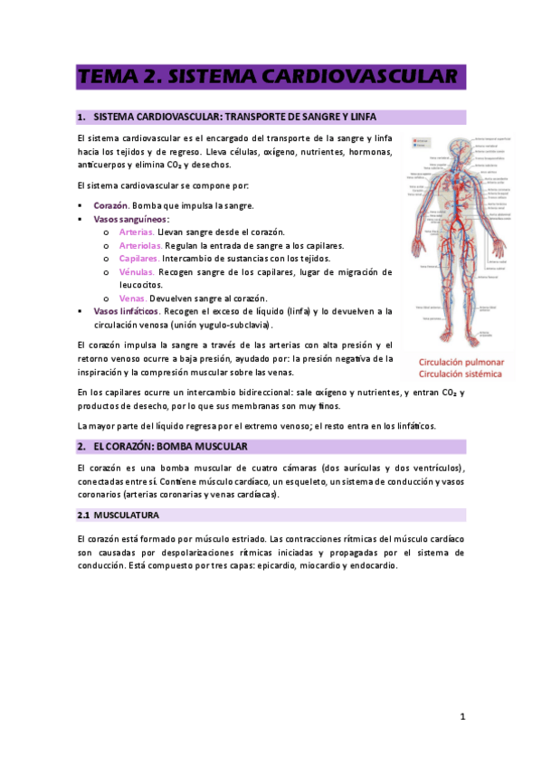 Miniatura del documento TEMA-2.pdf