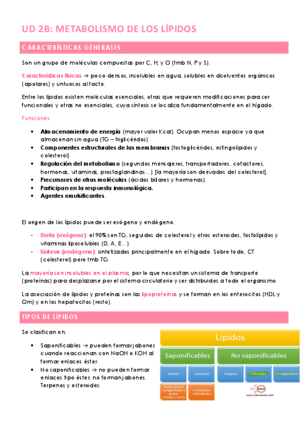 Miniatura del documento UD-2B-METABOLISMO-DE-LOS-LIPIDOS.pdf