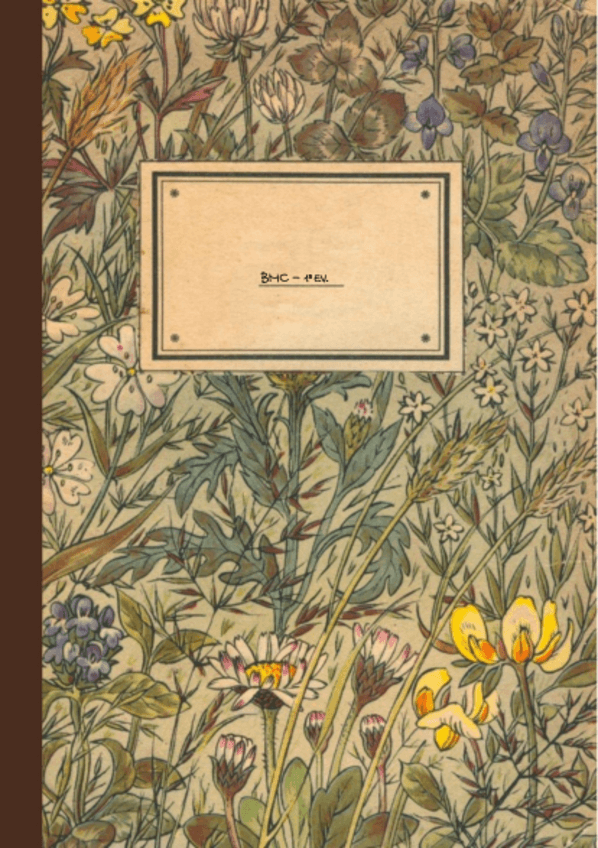 Miniatura del documento Tema-1-2-y-3.pdf