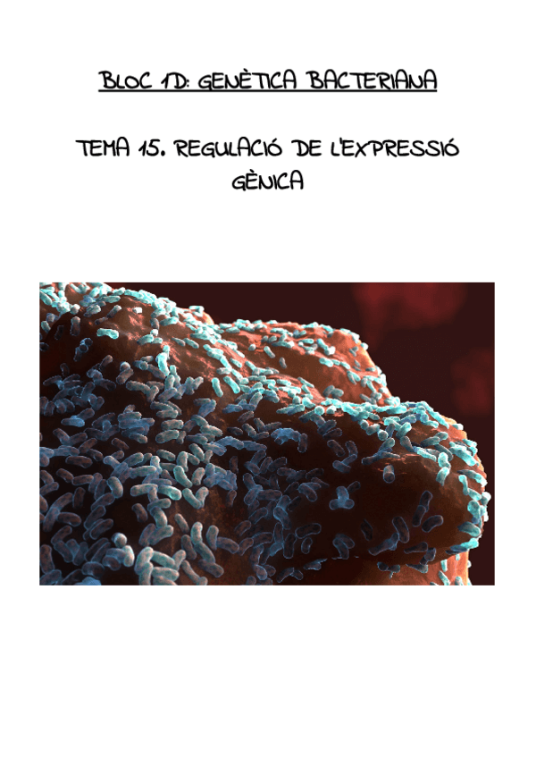 Miniatura del documento REGULACIO-DE-LEXPRESSIO-GENICA.pdf