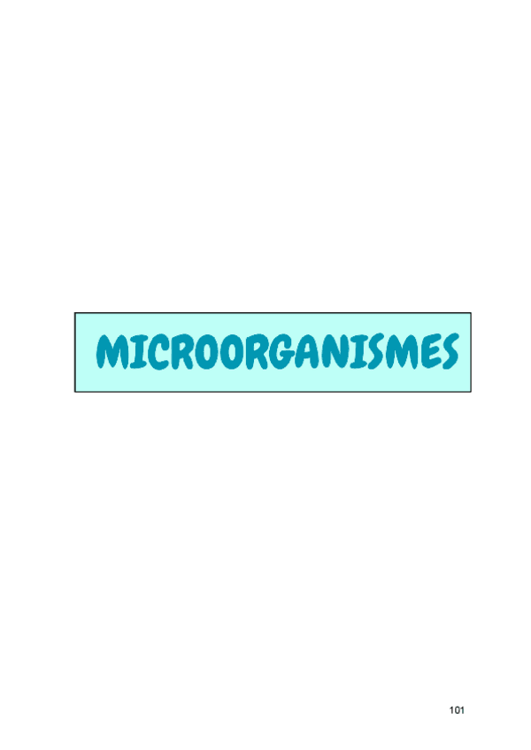 Miniatura del documento microorganismes.pdf