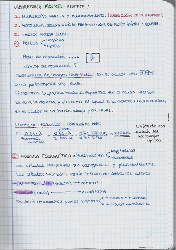 Miniatura del documento Prácticas de Biología.pdf