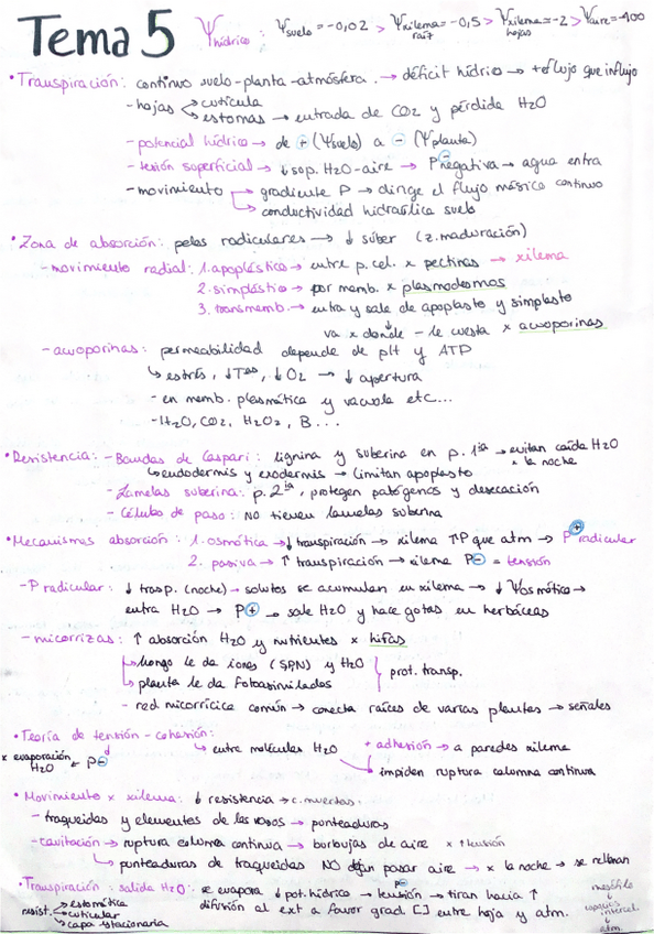 Miniatura del documento Esquemas-conceptos-parcial-2.pdf