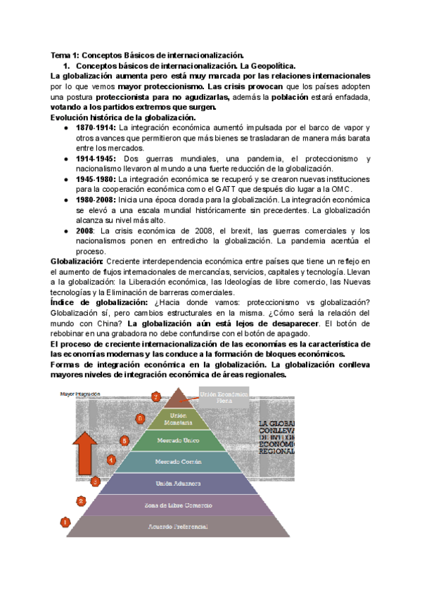 Miniatura del documento Tema-1-Conceptos-Basicos-de-internacionalizacion..pdf