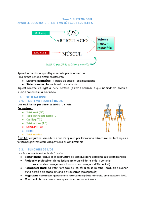 Miniatura del documento T.3-SISTEMA-OSSI.pdf