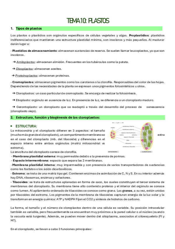Miniatura del documento TEMA-10.pdf