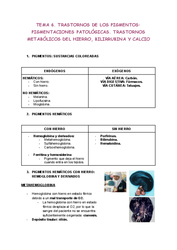 Miniatura del documento Tema-6.pdf