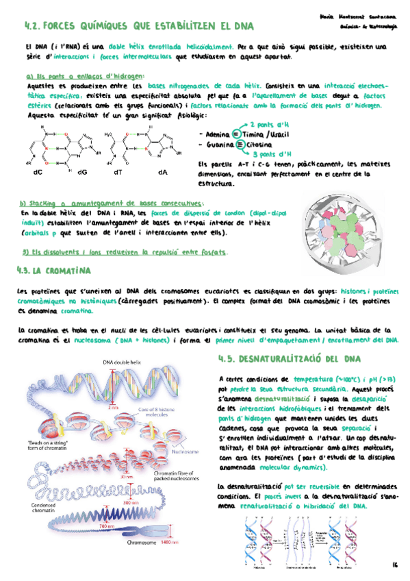 Miniatura del documento Tema8IsomeriaiBiomolecules2MariaMontserratSantacana.pdf