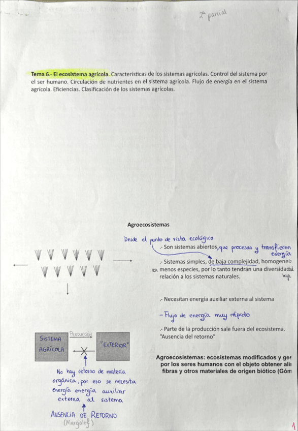 Miniatura del documento Anotaciones-Clase-2-parcial.pdf