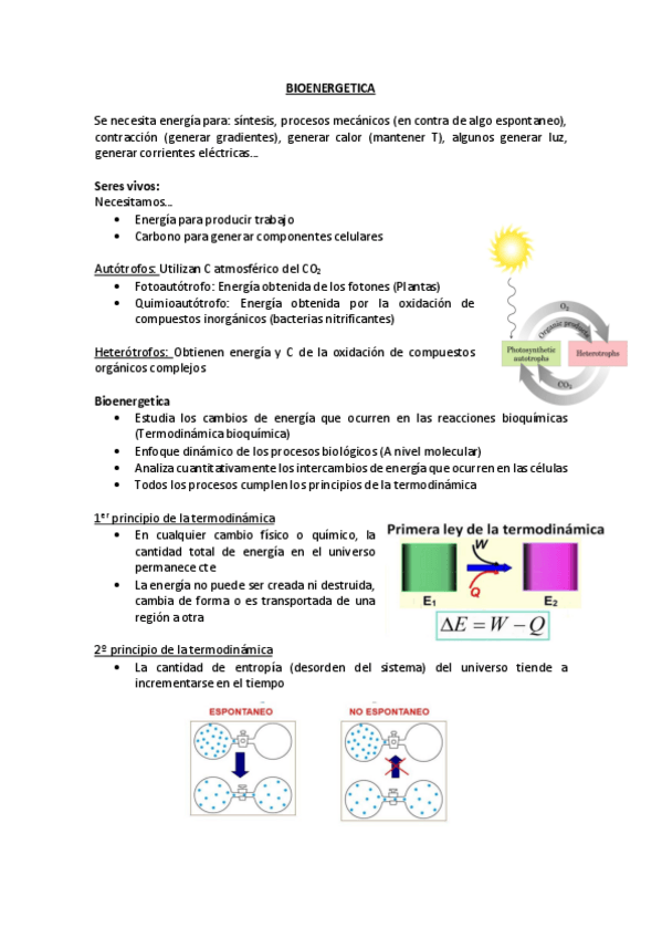 Miniatura del documento 2.BIOENERGETICA.pdf