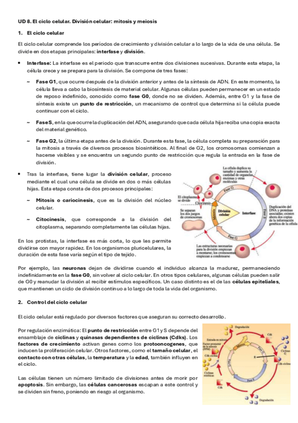 Miniatura del documento UD8MitosisYMeiosis.pdf