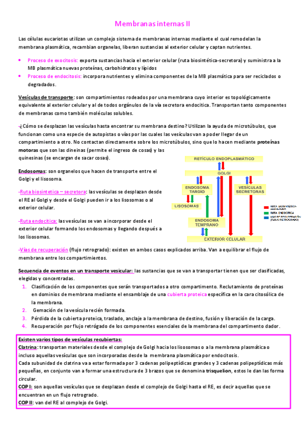 Miniatura del documento Membranas-internas-II.pdf