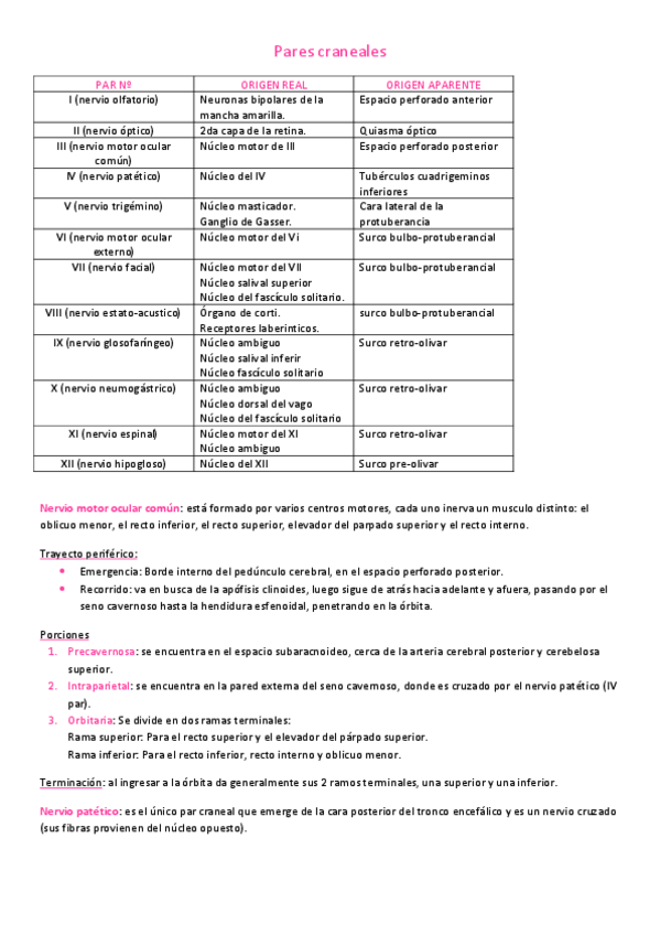Miniatura del documento Pares-craneales.pdf