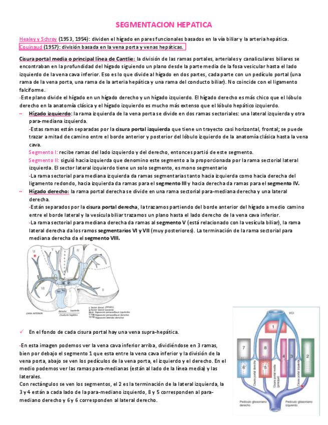 Miniatura del documento Segmentacion-hepatica.pdf