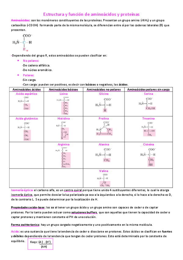 Miniatura del documento Estructura-y-funcion-de-aminoacidos-y-proteinas.pdf