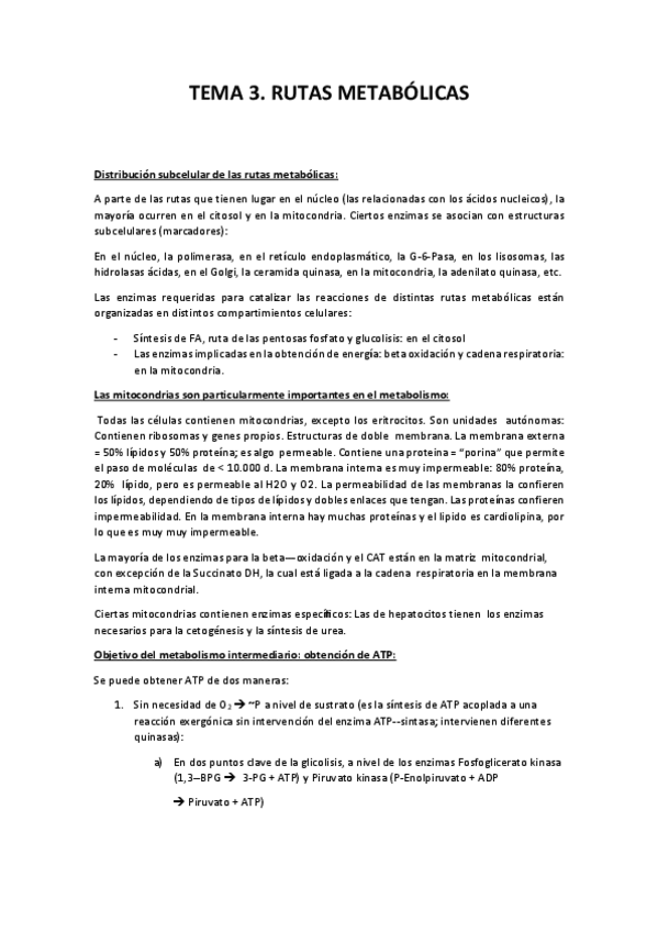 Miniatura del documento Tema 3. Rutas Metabólicas.pdf