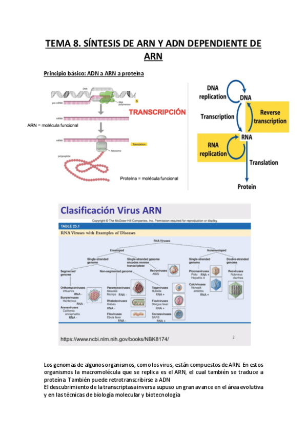 Miniatura del documento Síntesis de ARN-ADN Dependiente de ARN.pdf