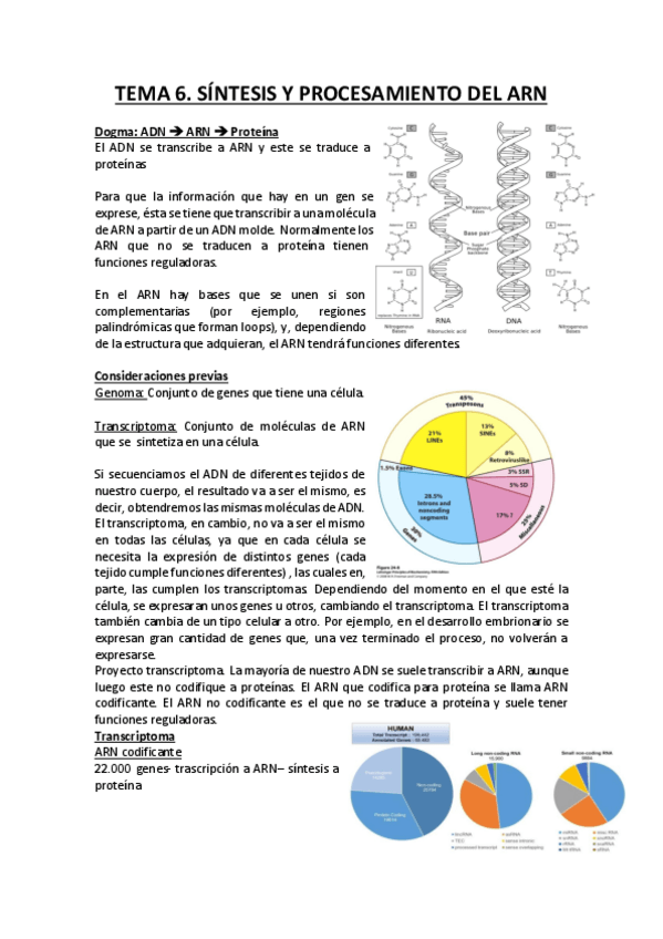 Miniatura del documento Transcripción del ADN.pdf