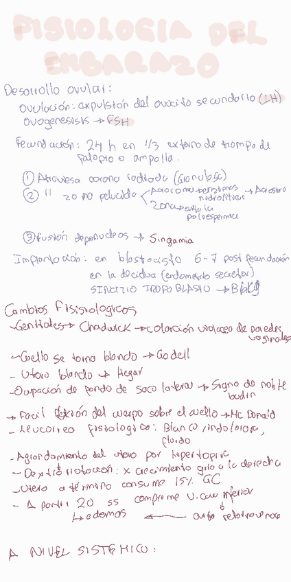 Miniatura del documento ObstetriciA.pdf