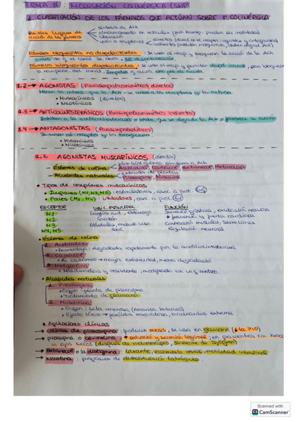 Miniatura del documento resumenesquema-tema-16-FARMA.pdf