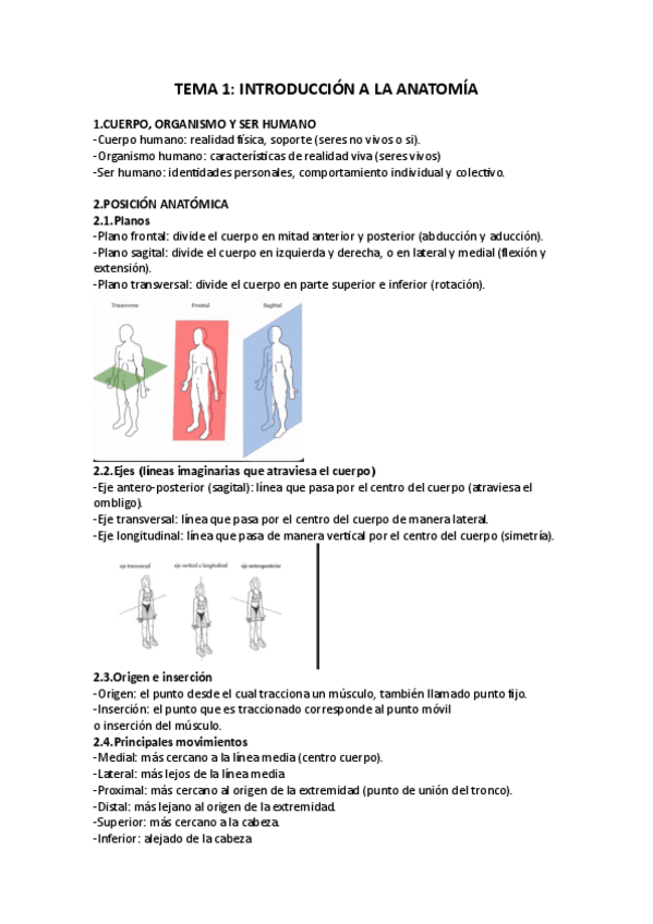 Miniatura del documento Tema-1-anatomia-fundamentos-biologicos-de-la-motricidad-humana.pdf