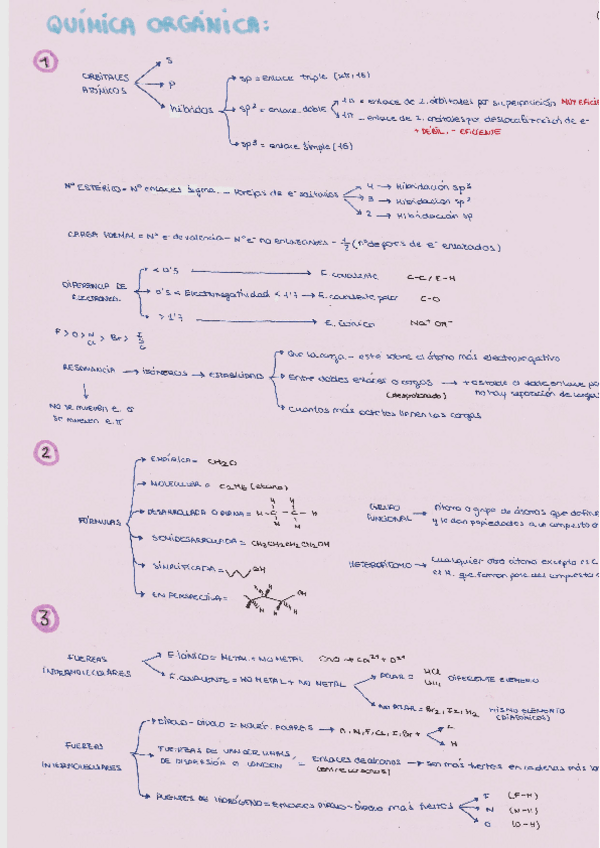 Miniatura del documento Resumen esquemático + Reacciones.pdf