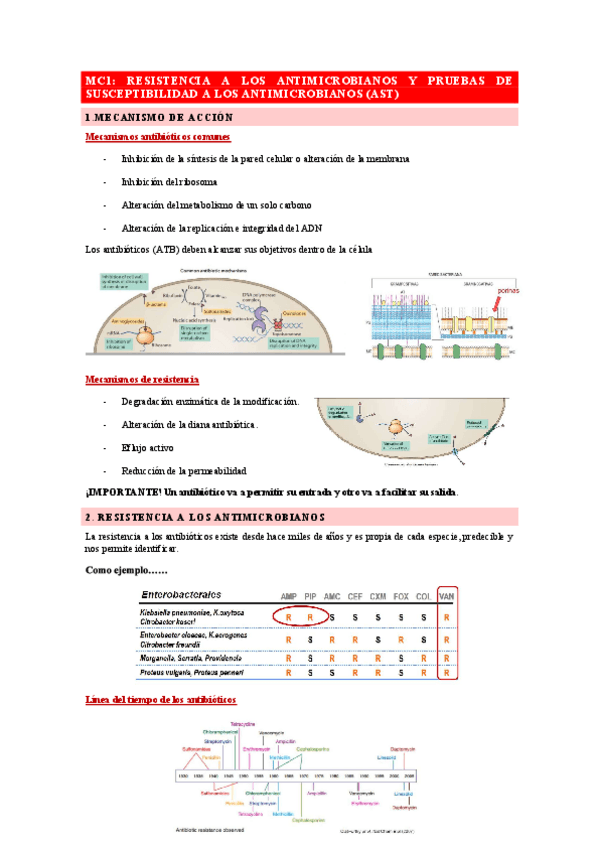 Miniatura del documento Apunts MCs microbiologia.pdf