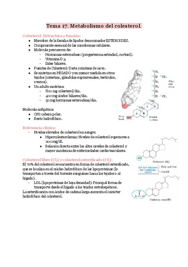 Miniatura del documento Bioquimica.-Tema-17.-Metabolismo-del-colesterol..pdf