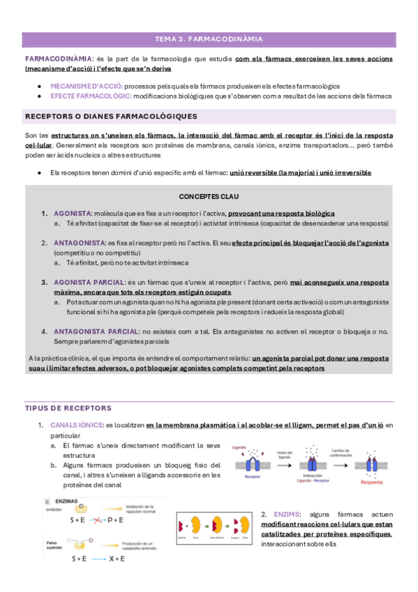 Miniatura del documento TEMA-3.pdf