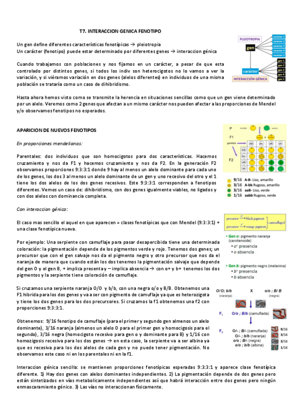 Miniatura del documento Tema-7interaccion-genica-y-fenotipo.pdf