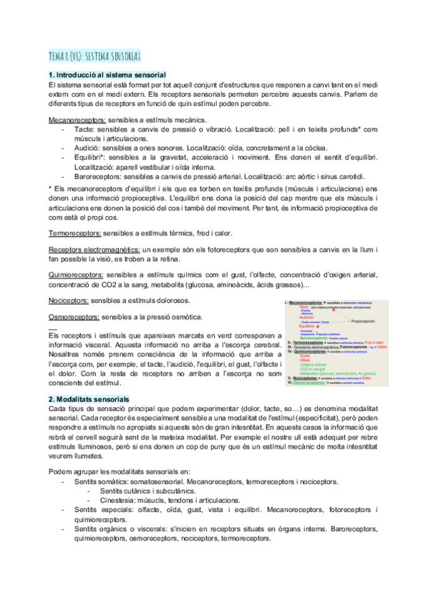 Miniatura del documento Tema-8.6sistema-sensorial.pdf