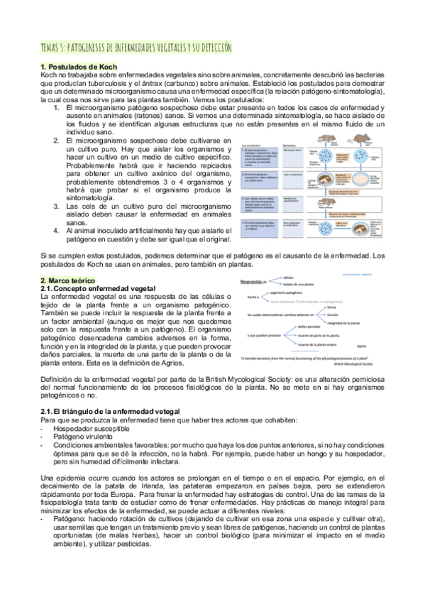 Miniatura del documento Tema-5patogenesis-de-enfermedades-vegetales-y-su-deteccion.pdf